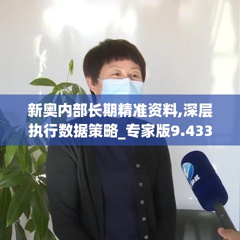 新奥内部长期精准资料,深层执行数据策略_专家版9.433