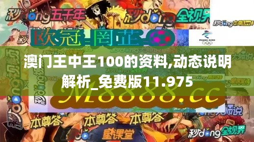 澳门王中王100的资料,动态说明解析_免费版11.975