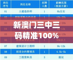 新澳门三中三码精准100%,灵活性方案解析_限量版1.248