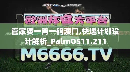 管家婆一肖一码澳门,快速计划设计解析_PalmOS11.211