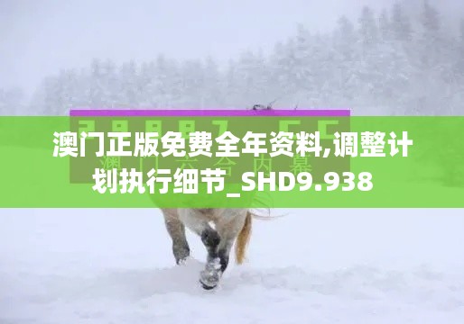 澳门正版免费全年资料,调整计划执行细节_SHD9.938