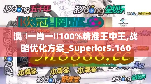 澳門一肖一碼100%精准王中王,战略优化方案_Superior5.160