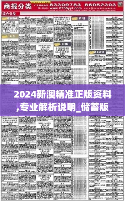 2024新澳精准正版资料,专业解析说明_储蓄版2.487
