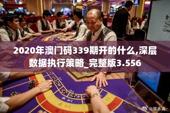 2020年澳门码339期开的什么,深层数据执行策略_完整版3.556