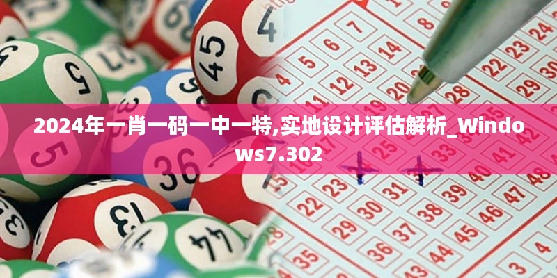 2024年一肖一码一中一特,实地设计评估解析_Windows7.302