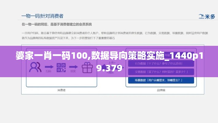 婆家一肖一码100,数据导向策略实施_1440p19.379