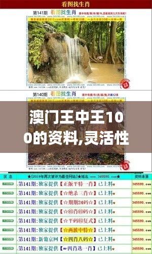 澳门王中王100的资料,灵活性策略设计_kit9.575