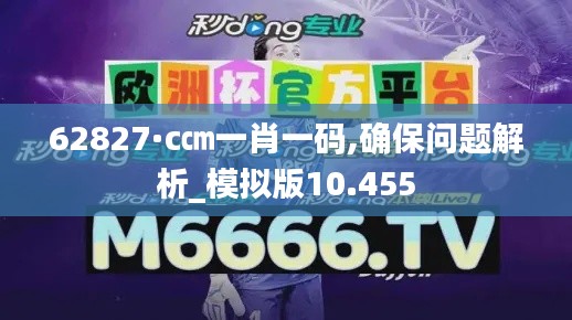 62827·c㎝一肖一码,确保问题解析_模拟版10.455