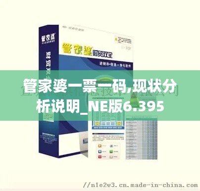 管家婆一票一码,现状分析说明_NE版6.395