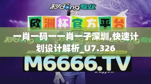 一肖一码一一肖一子深圳,快速计划设计解析_U7.326