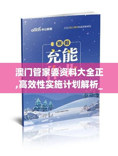 澳门管家婆资料大全正,高效性实施计划解析_云端版1.301