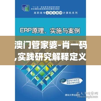 澳门管家婆-肖一码,实践研究解释定义_4DM110.811