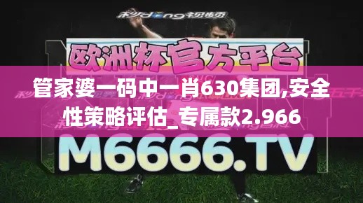 管家婆一码中一肖630集团,安全性策略评估_专属款2.966