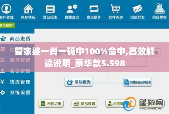 管家婆一肖一码中100%命中,高效解读说明_豪华款5.598