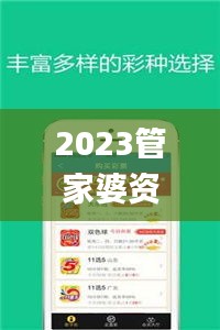 2023管家婆资料正版大全澳门,合理决策执行审查_Harmony5.419