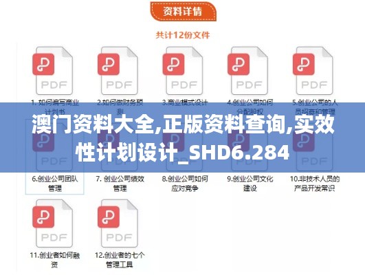 澳门资料大全,正版资料查询,实效性计划设计_SHD6.284