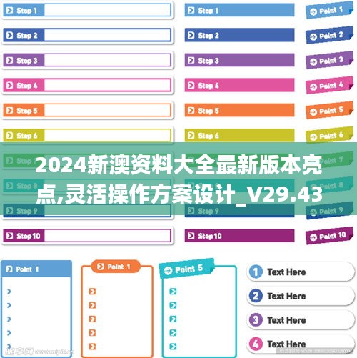 2024新澳资料大全最新版本亮点,灵活操作方案设计_V29.431