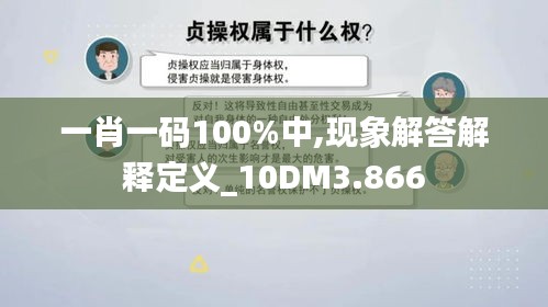 一肖一码100%中,现象解答解释定义_10DM3.866