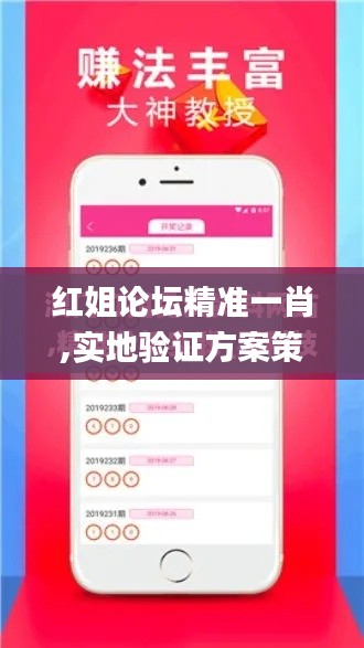 红姐论坛精准一肖,实地验证方案策略_app1.684