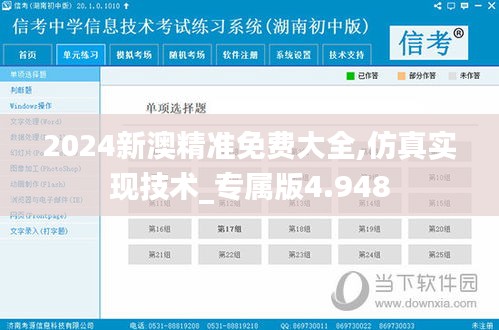 2024新澳精准免费大全,仿真实现技术_专属版4.948