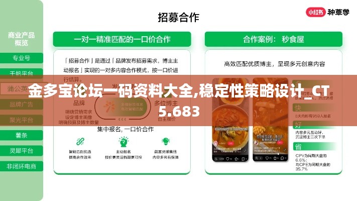 金多宝论坛一码资料大全,稳定性策略设计_CT5.683