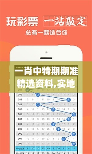 一肖中特期期准精选资料,实地计划验证数据_Phablet2.201