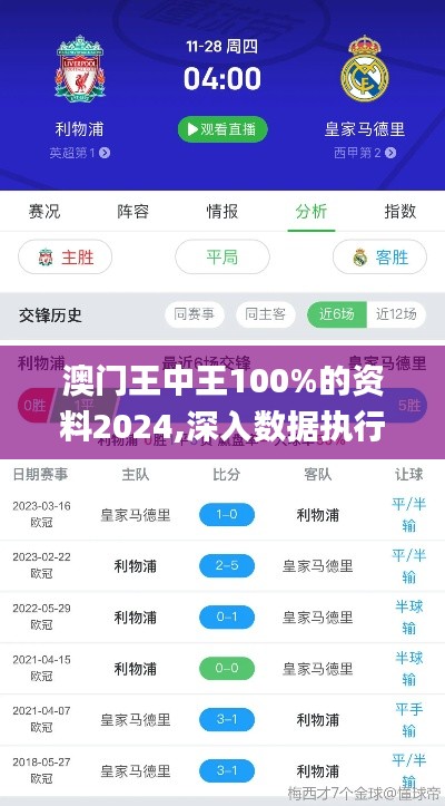 澳门王中王100%的资料2024,深入数据执行应用_云端版1.492