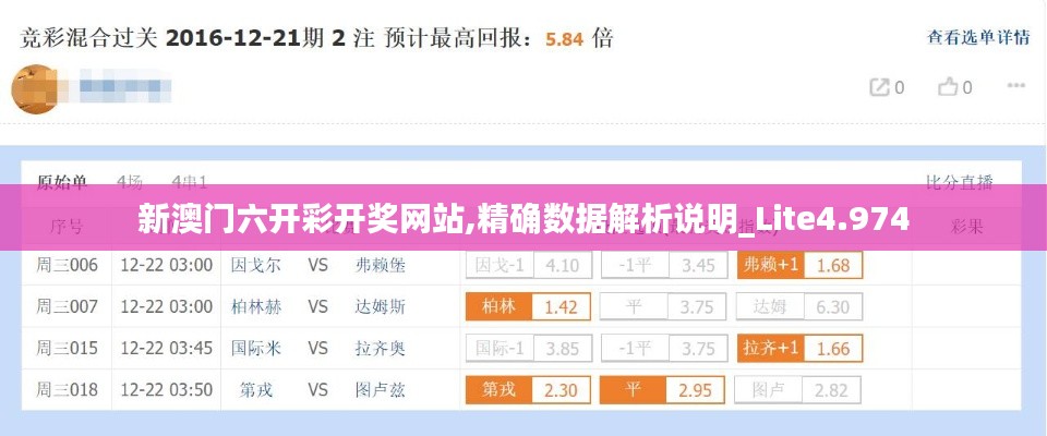 新澳门六开彩开奖网站,精确数据解析说明_Lite4.974