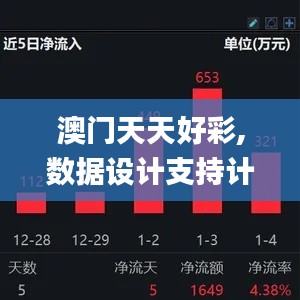 澳门天天好彩,数据设计支持计划_Advance5.526