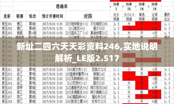 新址二四六天天彩资料246,实地说明解析_LE版2.517