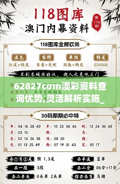 62827cσm澳彩资料查询优势,灵活解析实施_D版9.288