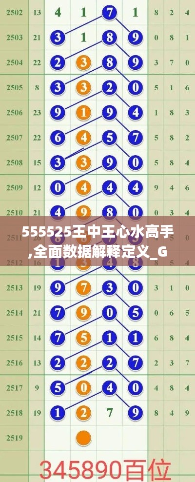 555525王中王心水高手,全面数据解释定义_Gold3.629