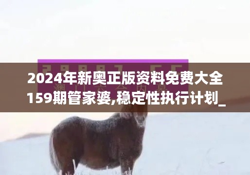 2024年新奥正版资料免费大全159期管家婆,稳定性执行计划_社交版8.702