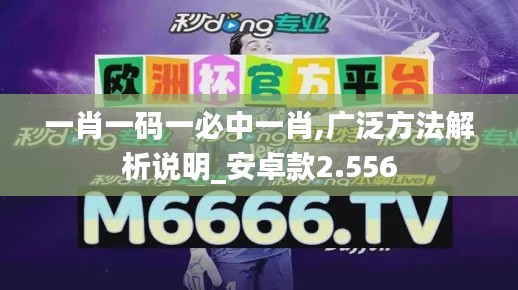 一肖一码一必中一肖,广泛方法解析说明_安卓款2.556