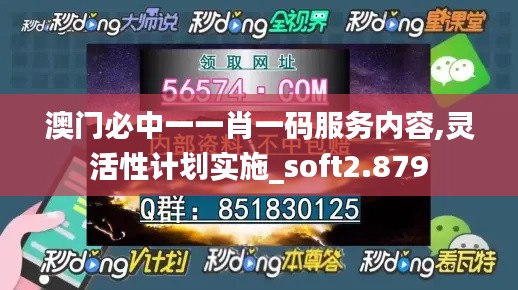澳门必中一一肖一码服务内容,灵活性计划实施_soft2.879