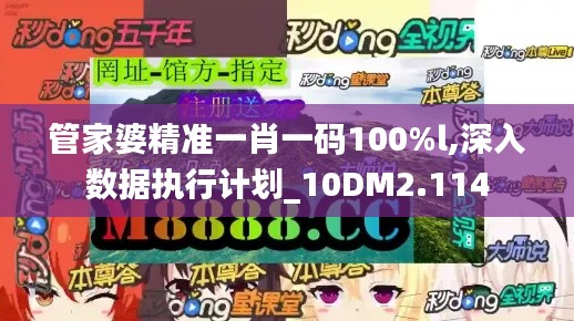 管家婆精准一肖一码100%l,深入数据执行计划_10DM2.114