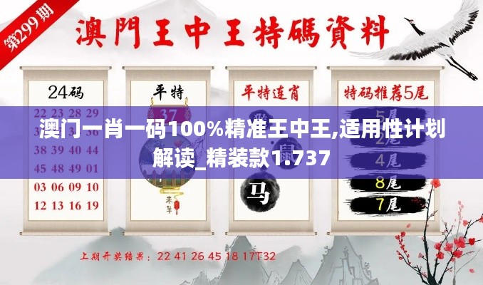 澳门一肖一码100%精准王中王,适用性计划解读_精装款1.737