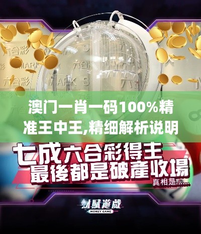 澳门一肖一码100%精准王中王,精细解析说明_5DM9.779