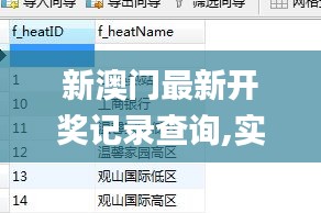 新澳门最新开奖记录查询,实地执行数据分析_CT4.392