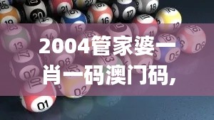 2004管家婆一肖一码澳门码,实地设计评估数据_限量版4.243