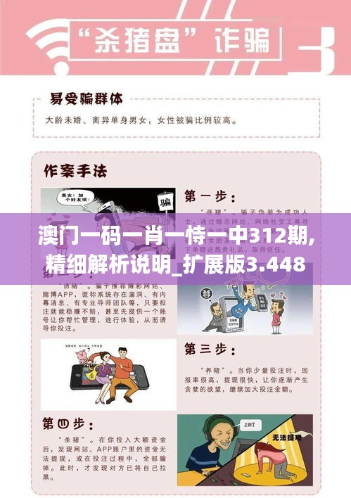 澳门一码一肖一恃一中312期,精细解析说明_扩展版3.448
