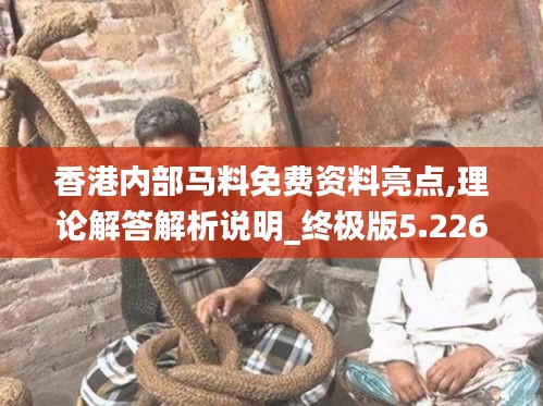 香港内部马料免费资料亮点,理论解答解析说明_终极版5.226