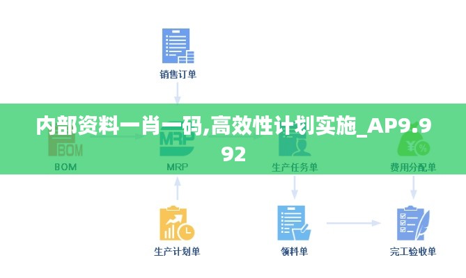 内部资料一肖一码,高效性计划实施_AP9.992