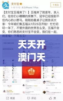 天天开澳门天天开奖历史记录,实地验证数据设计_进阶版11.700