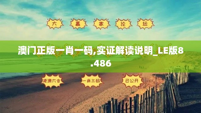 澳门正版一肖一码,实证解读说明_LE版8.486