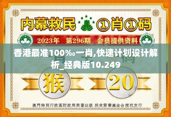 香港最准100‰一肖,快速计划设计解析_经典版10.249