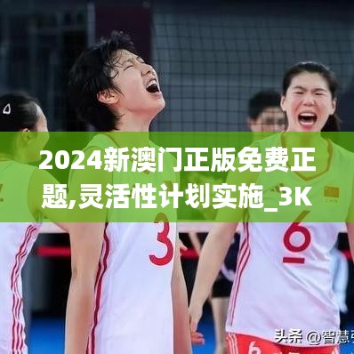 2024新澳门正版免费正题,灵活性计划实施_3K6.689