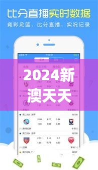 2024新澳天天彩免费资料大全查询,实地分析验证数据_特别款1.358