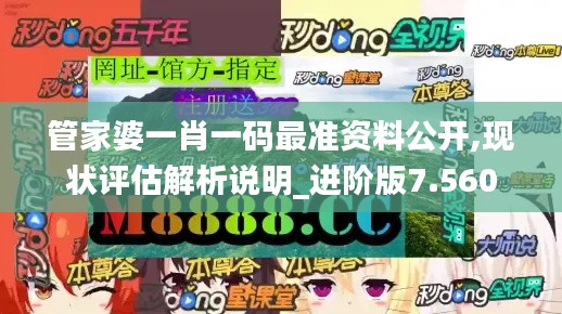 管家婆一肖一码最准资料公开,现状评估解析说明_进阶版7.560