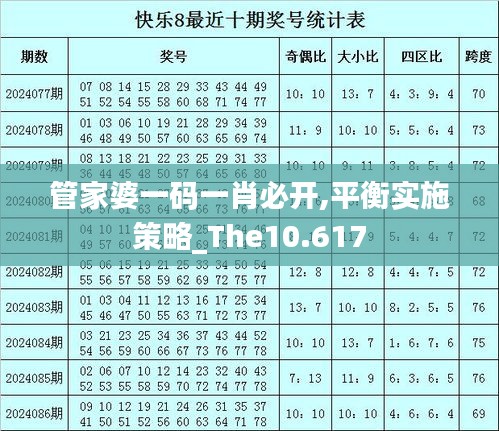 管家婆一码一肖必开,平衡实施策略_The10.617
